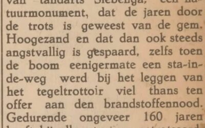 Kastanjeboom voor brandhout