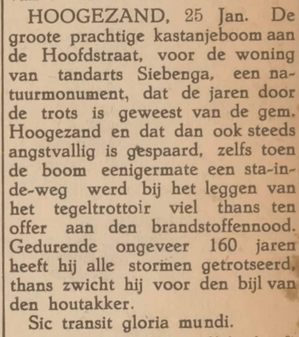 Kastanjeboom voor brandhout